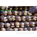 Favoriete ingrediënten Walnut Kernels